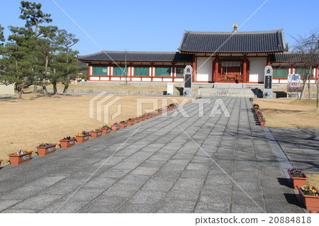 Genkanzakurin 20884818