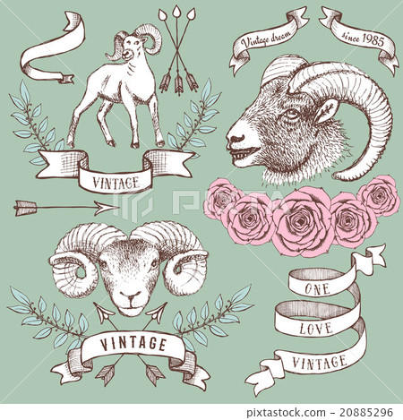 Logotypes with rams, ribbons and roses 20885296