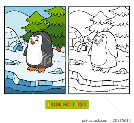 Coloring book (penguin and background) 20885613