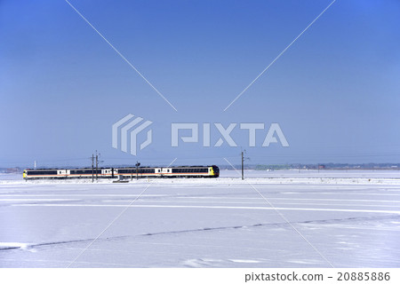 Resort which runs on snowy field Shirakami Kumage 20885886