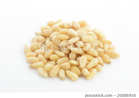 Pine nut 20886958