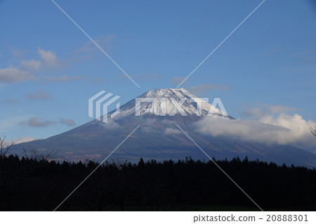 富士山 20888301