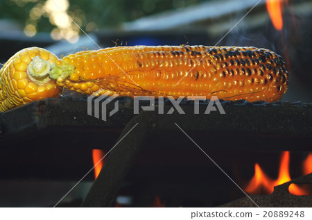 grilled corn on the hot stove 20889248