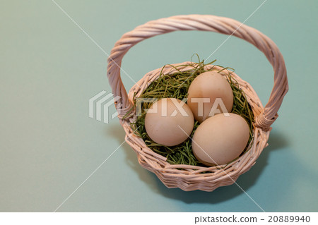 Call duck egg 20889940