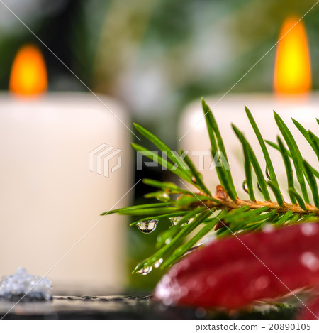 winter spa concept of evergreen branches  20890105