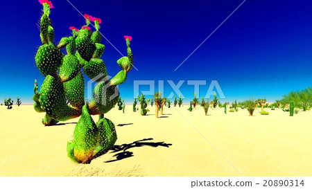 American desert American desert 20890314