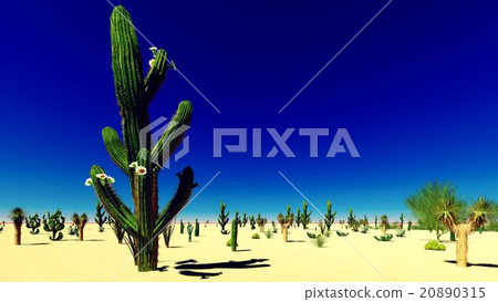 American desert 20890315