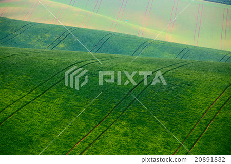 Green spring hills. Arable lands in Czech Moravia Green spring hills. Arable lands in Czech Moravia 20891882