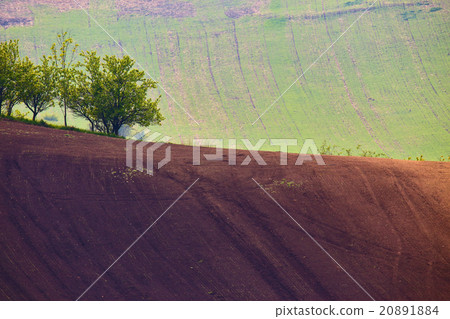 Czech Moravia hills. Arable lands in spring Czech Moravia hills. Arable lands in spring 20891884