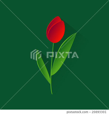 Tulip Flower Spring Holiday Concept Green 20893301
