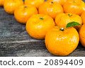 group of orange on the wooden table 20894409