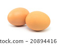 Two eggs isolated on white background 20894416