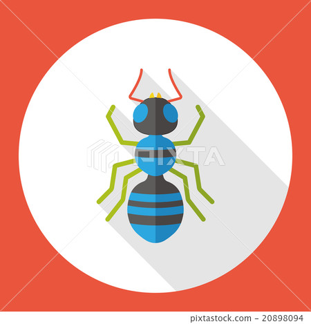 insect bug flat icon 20898094