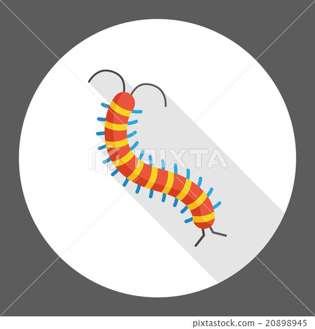 insect bug flat icon 20898945