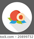 peach fruits flat icon 20899732
