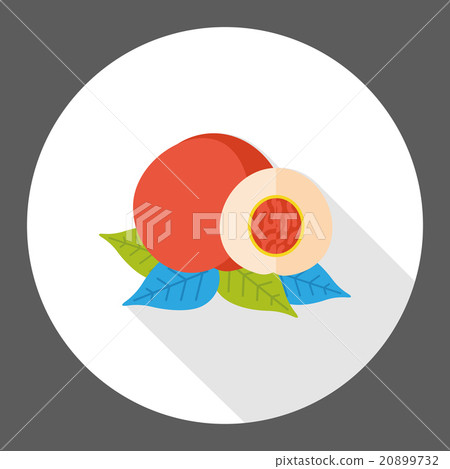 peach fruits flat icon peach fruits flat icon 20899732