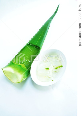 健康葉背景材料·蘆薈多汁葉子和葉茂盛·白色背對角垂直位置 20901070