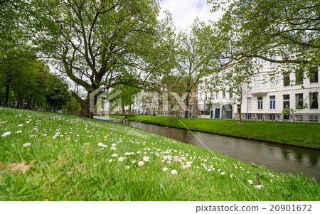 Westersingel Street near Museumpark in Rotterdam Westersingel Street near Museumpark in Rotterdam 20901672