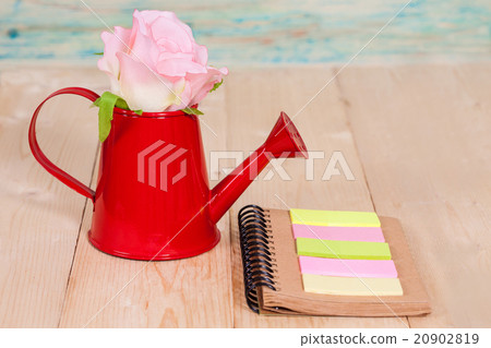 Rose flower in a red watering can and garden 20902819