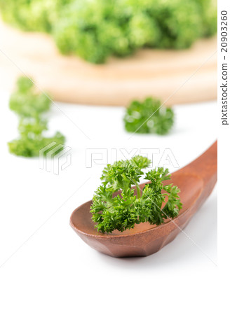 fresh parsley on wood spoon 20903260
