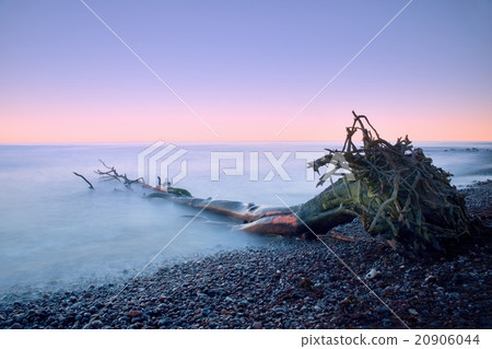 Smooth smoky water level. Lonely fallen tree Smooth smoky water level. Lonely fallen tree 20906044