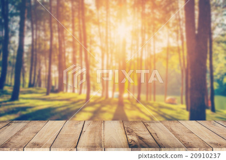 Abstract blurred pine tree and wood table Abstract blurred pine tree and wood table 20910237