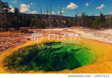 Morning Glory Pool Morning Glory Pool 20913111
