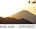富士山 20916822