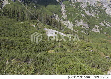 Poland - Tatra National Park in Tatra Mountains 20917237