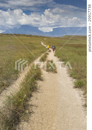Track to Mount Roraima - Venezuela, South America Track to Mount Roraima - Venezuela, South America 20917736