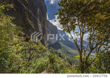 Trail down from the plateau Roraima, under a falls 20917756