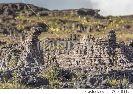 ancient rocks, Roraima tepui Venezuela 20918312