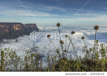 View from the Roraima tepui on Kukenan tepui View from the Roraima tepui on Kukenan tepui 20918328