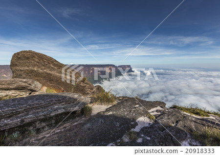 View from the Roraima tepui on Kukenan tepui  20918333