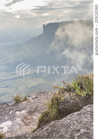 View from the Roraima tepui on Kukenan tepui  20918360