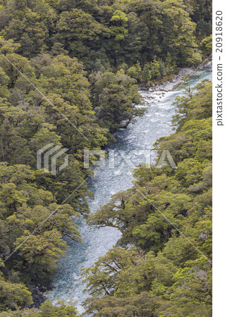 The Chasm (Fiordland, South Island, New Zealand) 20918620