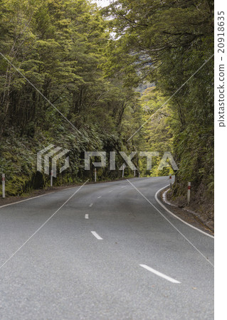 milford road along cleddau valley milford road along cleddau valley 20918635