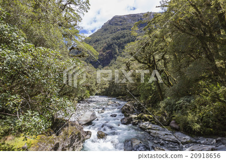 The Chasm (Fiordland, South Island, New Zealand) The Chasm (Fiordland, South Island, New Zealand) 20918656