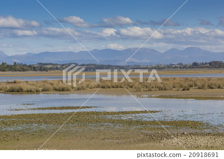 Motueka landscape near Abel Tasman National Park 20918691