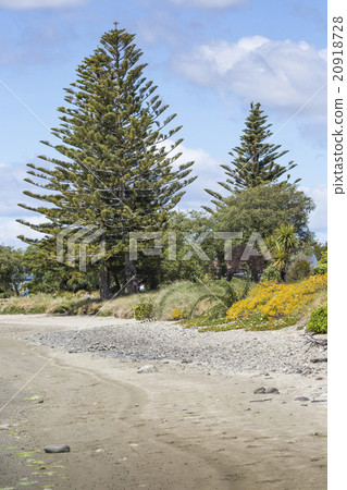 Calm seas of the Abel Tasman National Park Calm seas of the Abel Tasman National Park 20918728