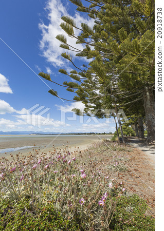 Calm seas of the Abel Tasman National Park Calm seas of the Abel Tasman National Park 20918738