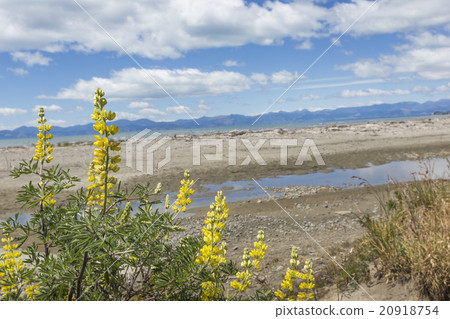 Calm seas of the Abel Tasman National Park Calm seas of the Abel Tasman National Park 20918754