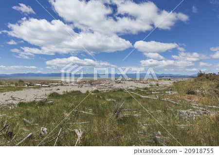 Calm seas of the Abel Tasman National Park 20918755