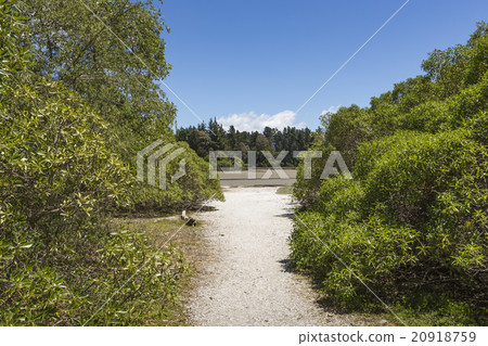 Calm seas of the Abel Tasman National Park 20918759