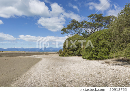 Calm seas of the Abel Tasman National Park Calm seas of the Abel Tasman National Park 20918763