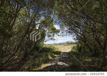 Motueka landscape near Abel Tasman National Park, 20918765