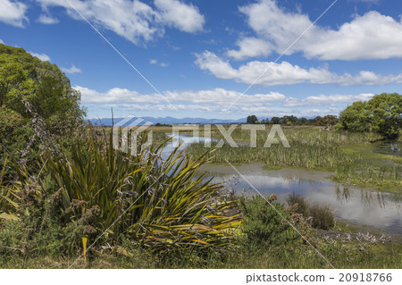 Motueka landscape near Abel Tasman National Park, Motueka landscape near Abel Tasman National Park, 20918766