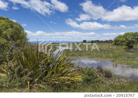 Motueka landscape near Abel Tasman National Park, Motueka landscape near Abel Tasman National Park, 20918767
