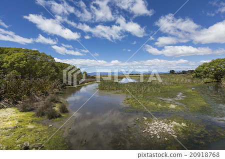 Motueka landscape near Abel Tasman National Park, Motueka landscape near Abel Tasman National Park, 20918768