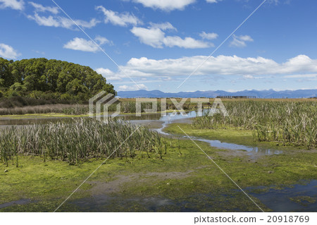 Motueka landscape near Abel Tasman National Park, Motueka landscape near Abel Tasman National Park, 20918769